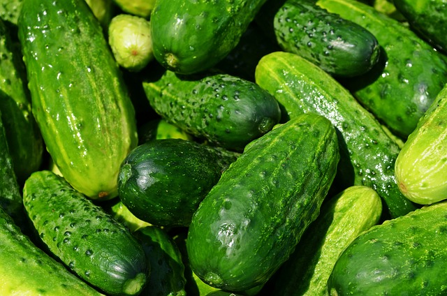 Hızlı Karışık Sebze Salatası Hızlı Karışık Sebze Salatası
