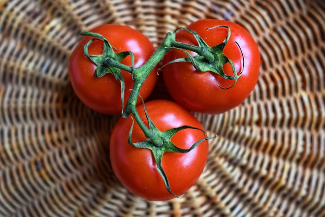 Taze Fasulye Salatası Tarifi